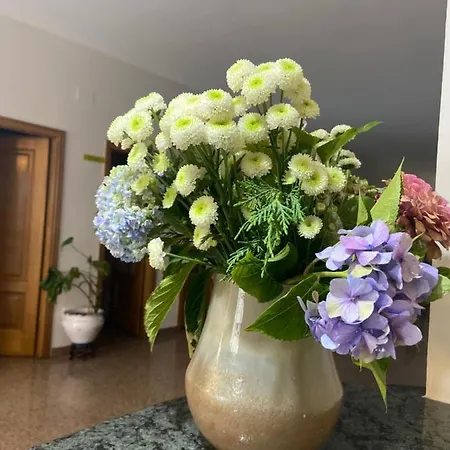 A Marina 호텔 캄바도스