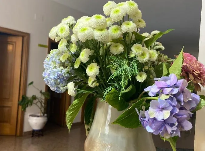 A Marina מלון קמבדוס