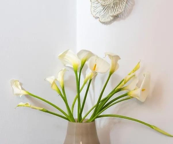 A Marina קמבדוס