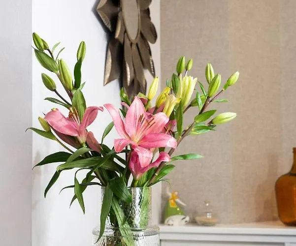 מלון A Marina 2*